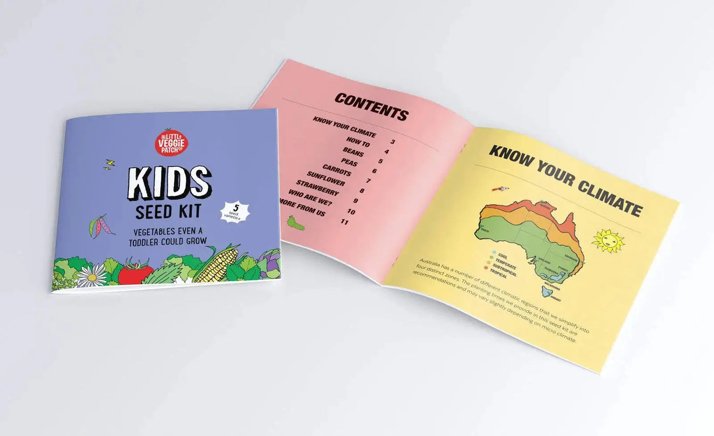Seed Kit for Kids for outdoor activities and gardening