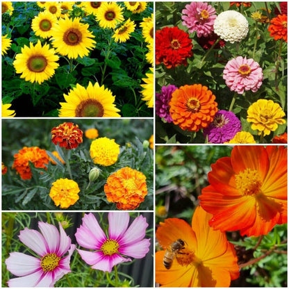 Bee Kind Australia - I Love You Mum - Wildflower Seeds: 0.5 Gram